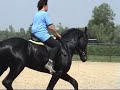 Obbe fan Petersburg (Heinse X Ritse)
