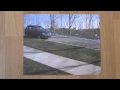 Shady Cars Illusion
