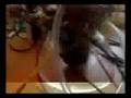 videos de Teleport Construction - 5th Installment