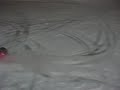 Traxxas Summit Mamba Monster 2200 KV Ripping in the snow.