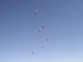 PLF (Parachute Landing Fall)