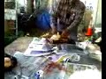 cleaning chickens