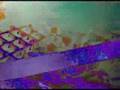 Aphex Twin - Parallel Stripes