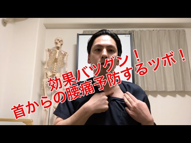 【高槻 腰痛】首からの腰痛予防するツボ！