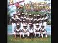 Los Pajaritos de Tacupa Michoacan-Moño Negro