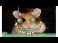 videos de harry the hamster audition video for big brother 10, 2009