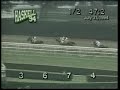 Holy Bull - 1994 Haskell Stakes
