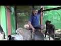 Playing with Capybara