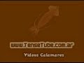 Platense - Dia de Limpieza - Colaboracion de los socios