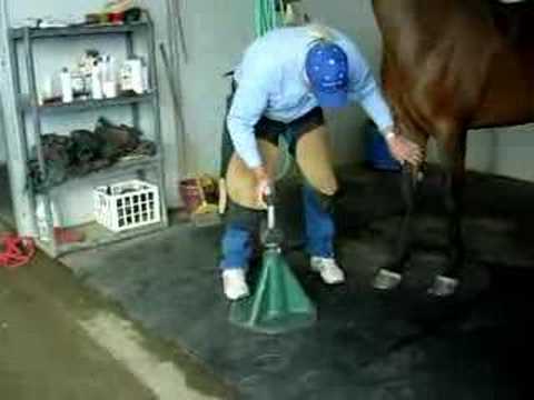 HOOF-it Hoof Stand
