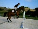 orfee au boulot orfee au boulot