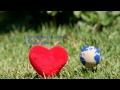 Happy New Year 2012 Poem Video ecard