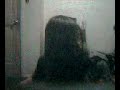 play video on Last.fm