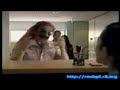 FUNNY PASPORT CONTROL