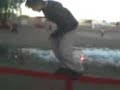 la caida del feito
