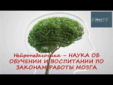 Видео Видео