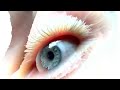 3D Eye