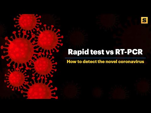 What is the difference between a rapid test and RT-PCR test?