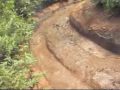 Toolangi 4WD Action - Hashmans Baker Remix