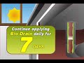 Keep Fruit Flies Away with good Maintenance in your Drains