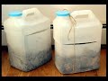 Compost Gardening in Late Winter