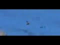 Clip Carita de Gato Jorge Gonzalez