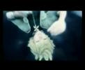 A Faint Heart Remix