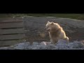 Around the World Sample Around the World Sample