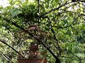 Le Jardin de vos r�ves