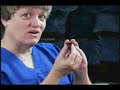 Austin Bat Hospital