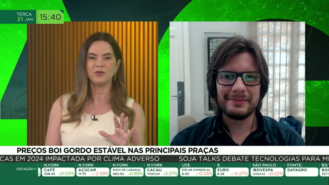 Preços do boi estável nas principais praças