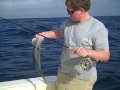 Flyfishing 12/26/2008 - Amberjack, Red Snapper, Bonita (False Albacore)