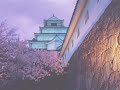 鶴ヶ城桜 Tsurugajo sakura 鶴ヶ城