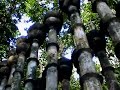 \"Las Pozas\", cement garden of Edward James. Xilitla, Mexico.