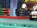 Bangkok Orang Utang boxing show 2