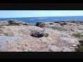 Click here to watch this video 本州最東端 トドヶ崎