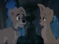 angle needs fabulous.wmv