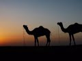 Fayrouz AhwaK.mpg