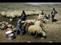 Dersimli Mesut - Herediya