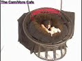 Carnivore Chair - Bottom First