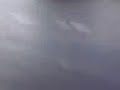 ��� ������