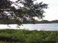 Real Estate Central Florida Pre-Construction 5 Acre Lots