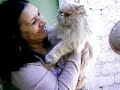 Kitty cat claimming for freedom!!