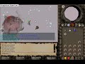 Killing the Dream Mentor Bosses and completing