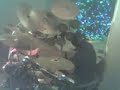 fat-bottomed-girls-mindwalk-age-1114.html