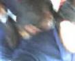 sexo en conalep II