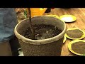 Organic Fertilizing : Organic Vs. Chemical Fertilizers Organic Fertilizing : Organic Vs. Chemical Fertilizers