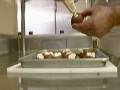 videos de Chef Rob & Company