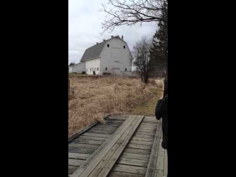 Farm House @ Dahlem