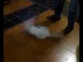 videos de LaLo